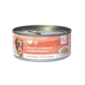 Fruits et fruits exotiques dans les filets pour chien : quels sont leurs bienfaits ? Filet de poulet à la papaye pour chien