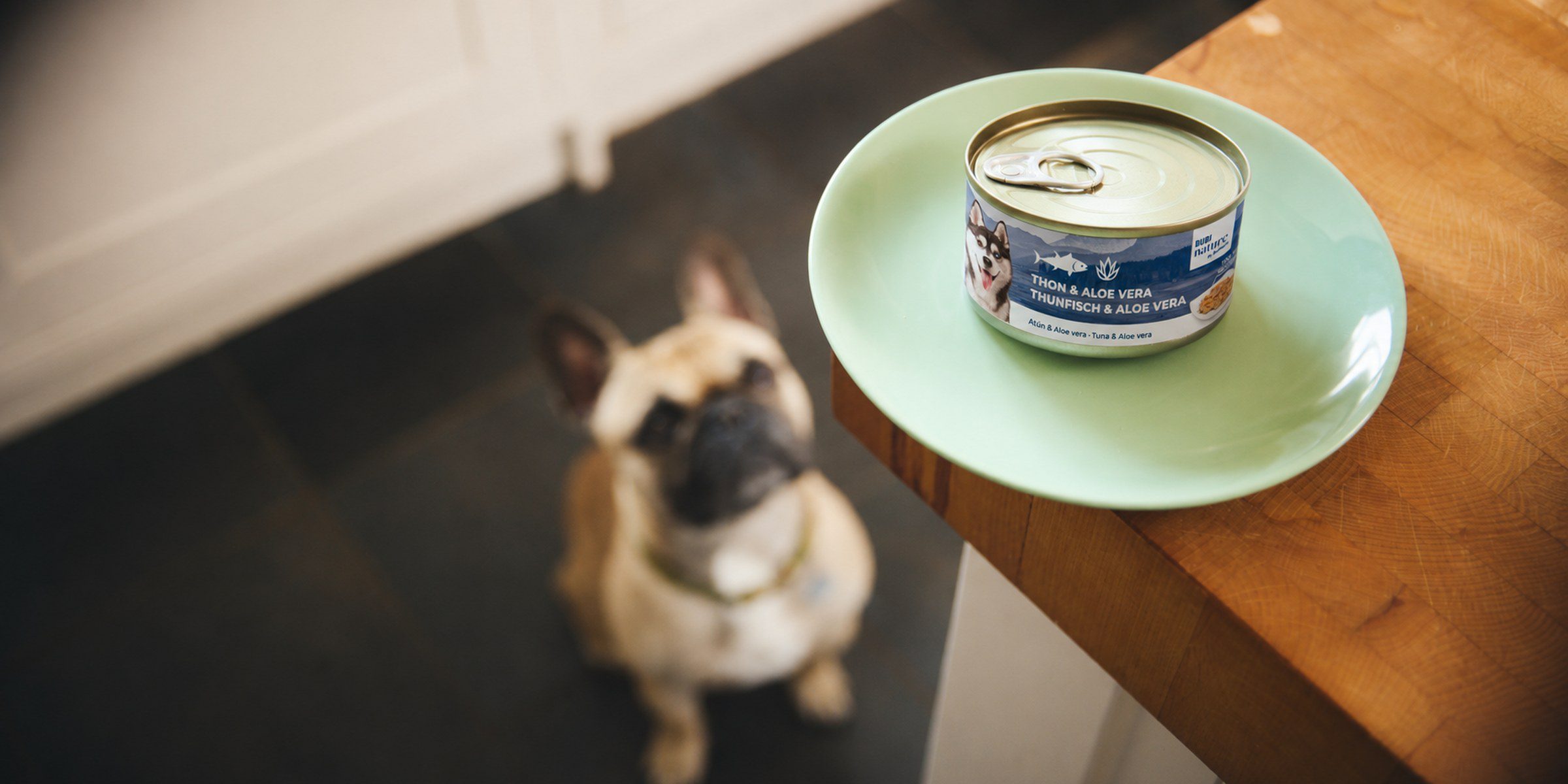 Chien devant une gamelle de filet de thon à l'aloe vera