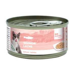 Chat - Filet - Saumon