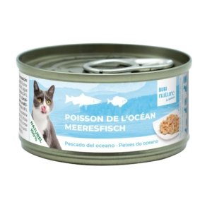 Chat - Filet - Poisson de l'océan