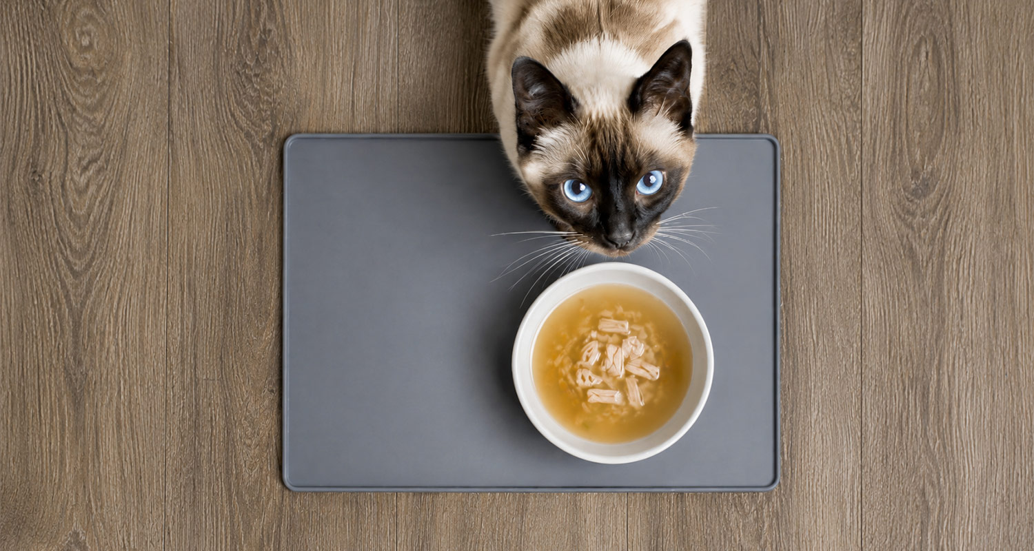 soupe pour chat